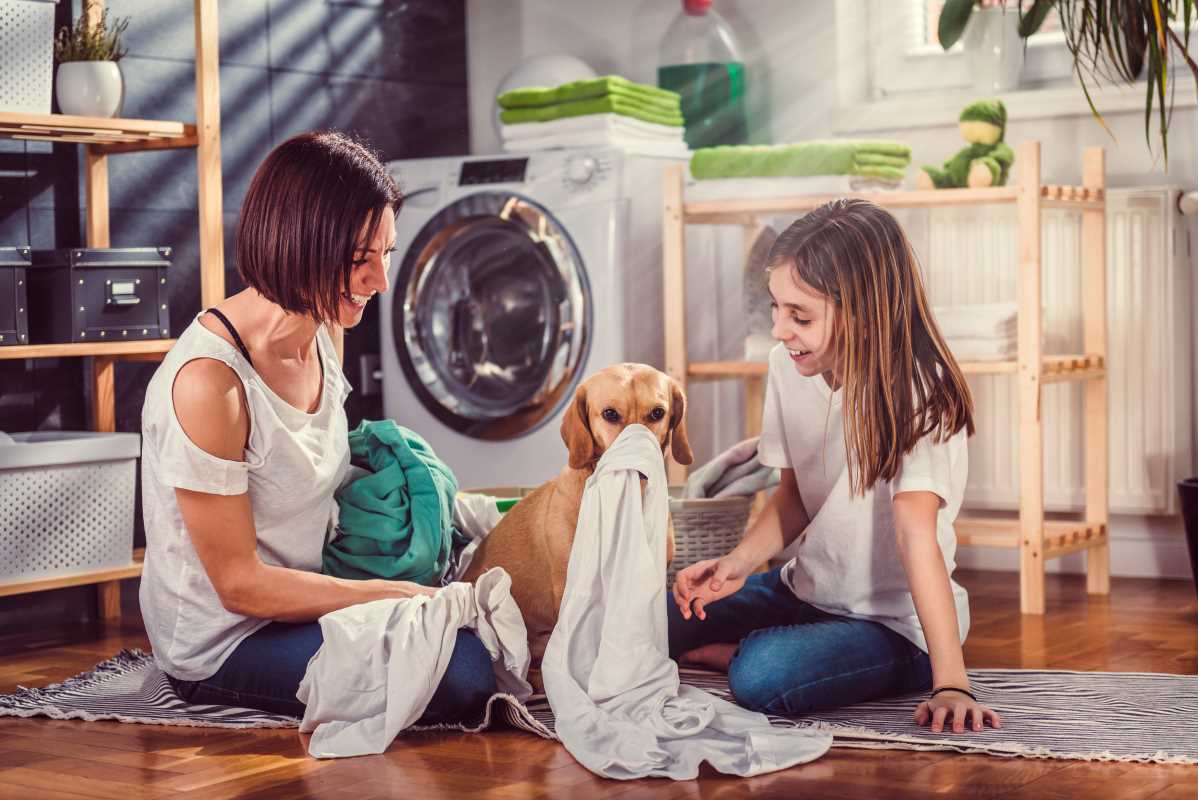How to Set Up a Laundry Room That Makes Wash Day Simple and Efficient