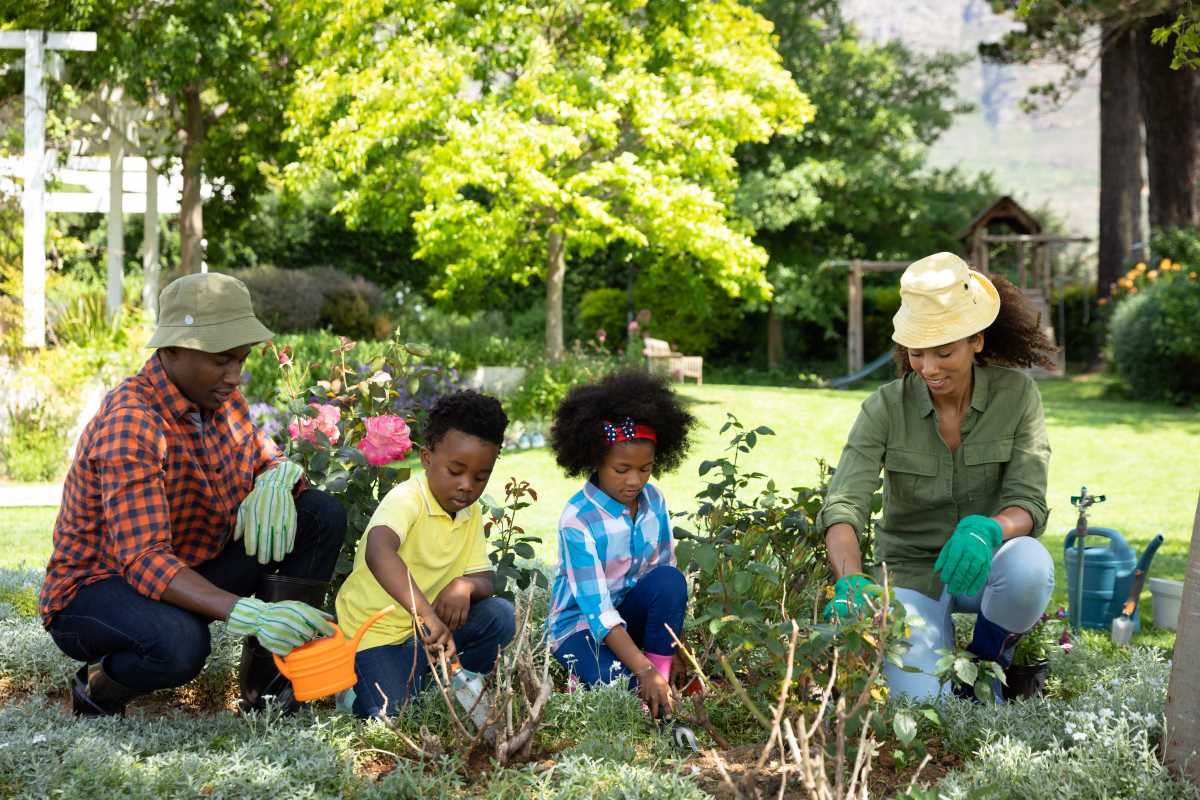 Smart Shopping Secrets for Building a Thriving Garden from Scratch