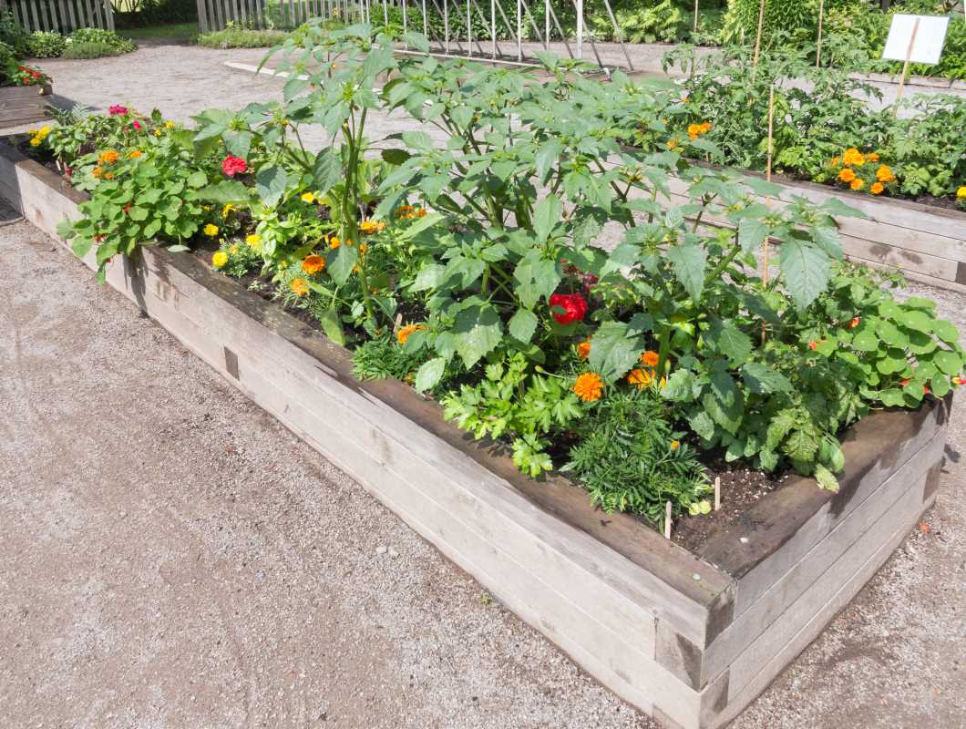 Mixing Edible Greens and Decorative Foliage in Unexpected Spaces for Ultimate Freshness Year-Round