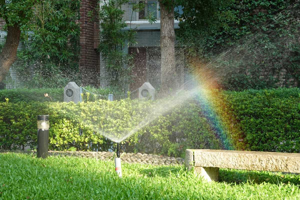 How to Set Up Simple Irrigation for Effortless Watering All Season