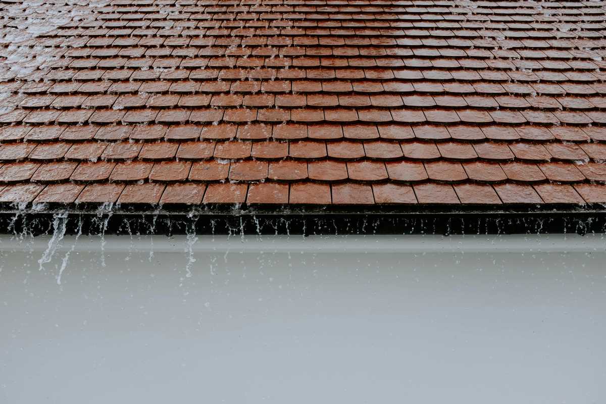 DIY Rainwater Collection Systems for Eco-Friendly Backyard Irrigation