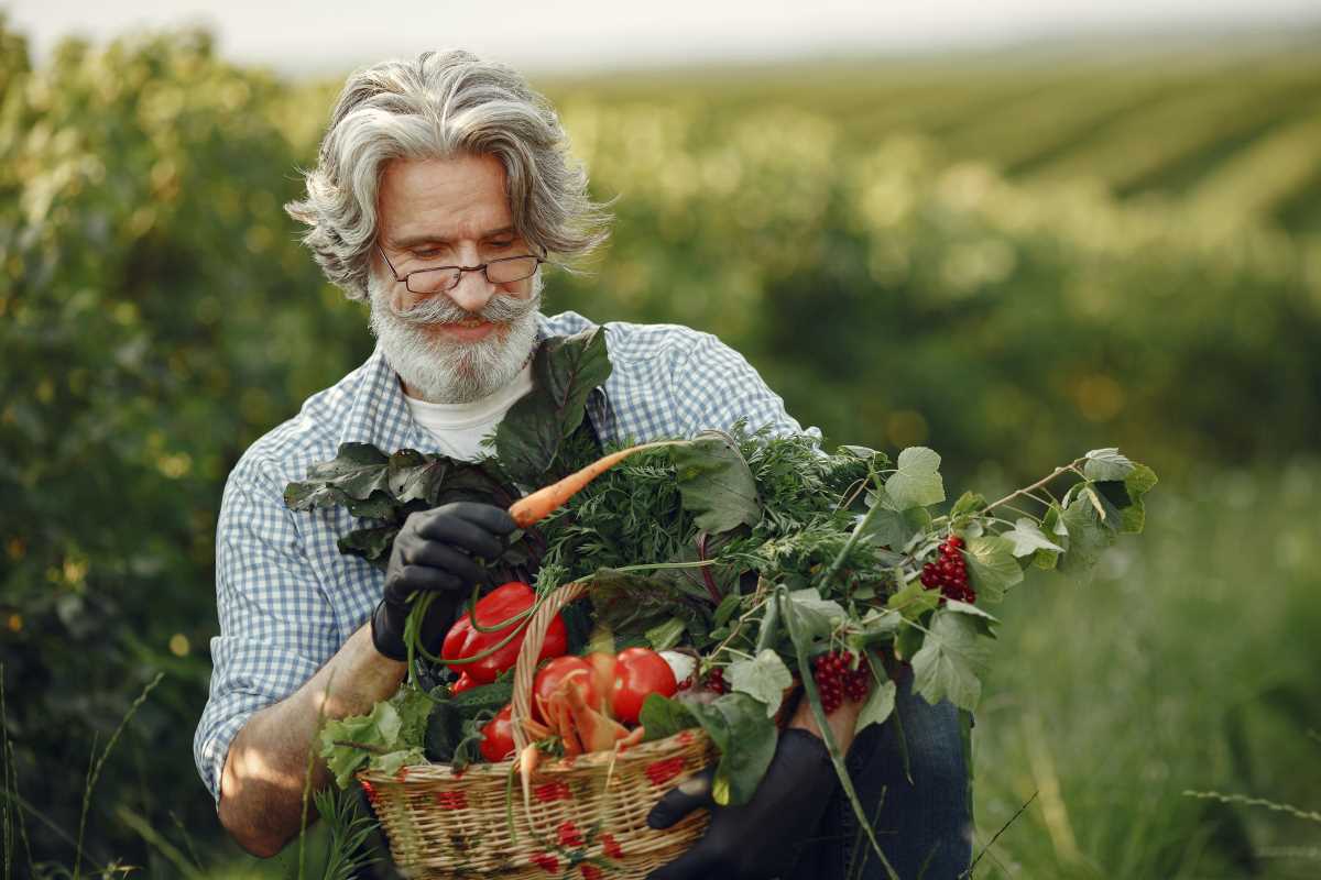 7 Fast-Growing Vegetables for Raised Beds in Tiny Backyard Spaces