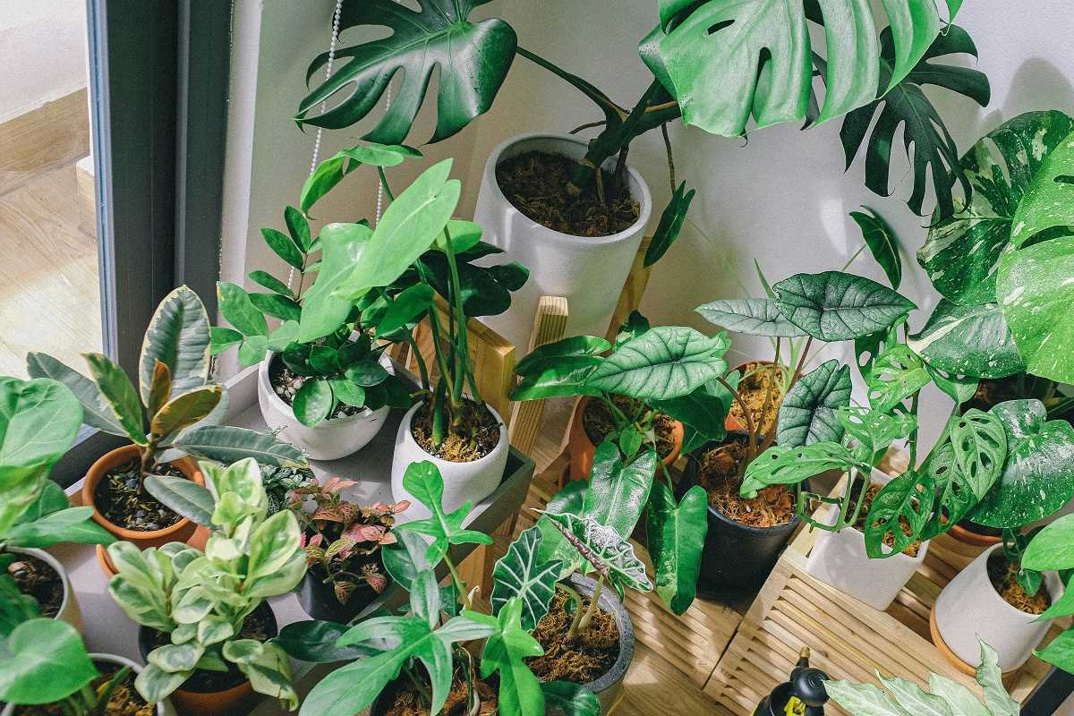 5 Creative Ways to Make Container Gardens Thrive on Small Patios