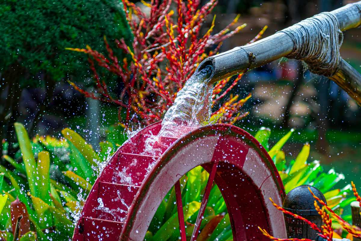 How to Set Up a Rain Barrel System That Keeps Your Garden Thriving During Dry Spells