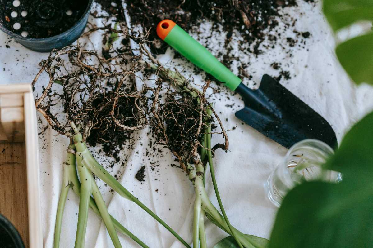Innovative Recycled-Material Tools Every Urban Gardener Should Try