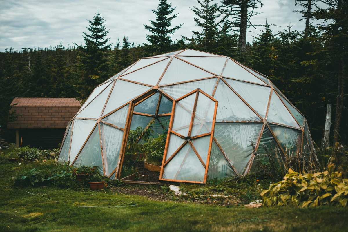 6 Essential Steps for Starting a Compact Backyard Greenhouse